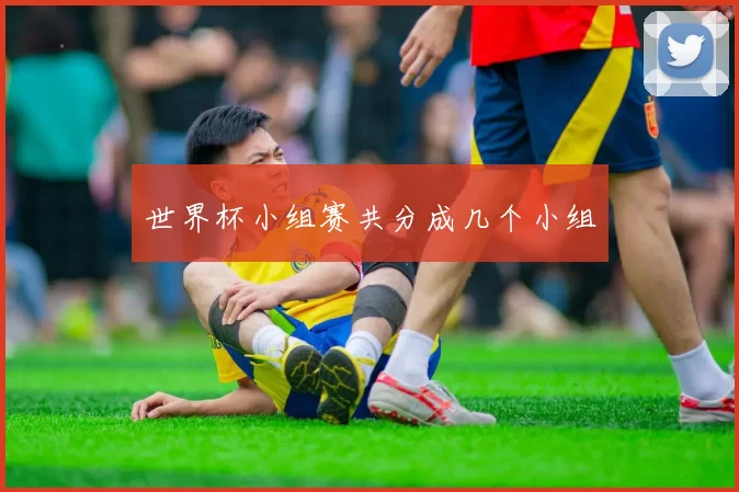 世界杯小组赛共分成几个小组