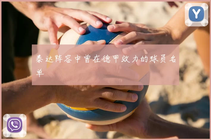 泰达阵容中曾在德甲效力的球员名单