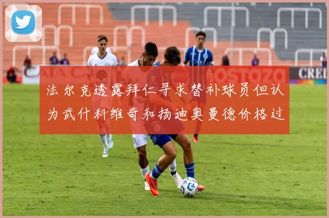 法尔克透露拜仁寻求替补球员但认为武什科维奇和扬迪奥曼德价格过高