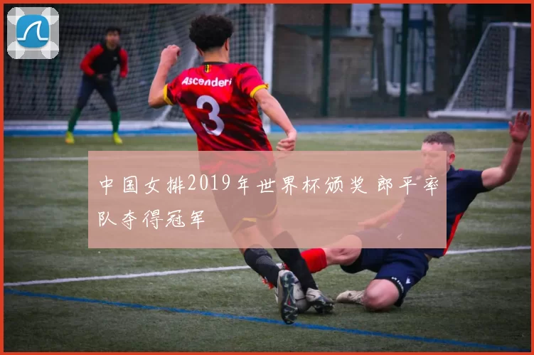 中国女排2019年世界杯颁奖 郎平率队夺得冠军