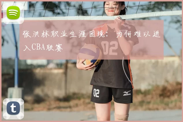 张洪林职业生涯困境:为何难以进入CBA联赛