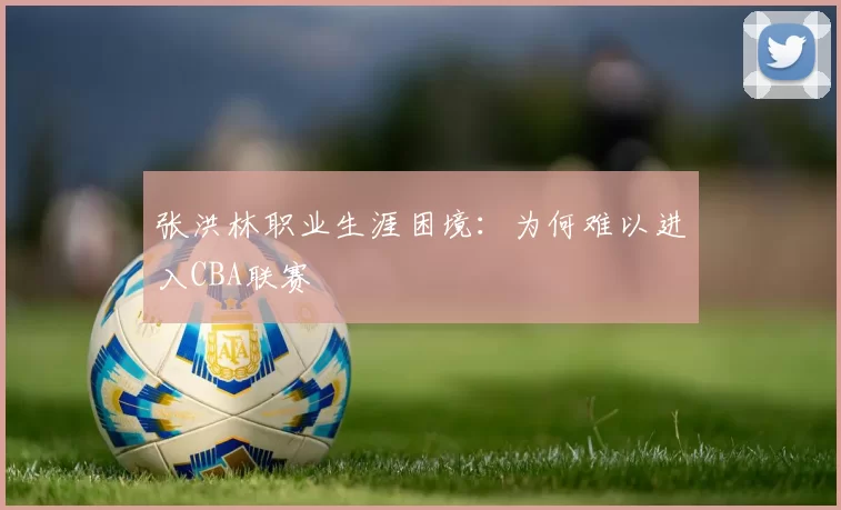 张洪林职业生涯困境：为何难以进入CBA联赛