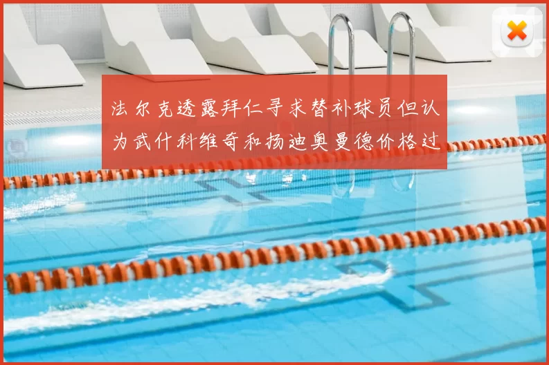 法尔克透露拜仁寻求替补球员但认为武什科维奇和扬迪奥曼德价格过高