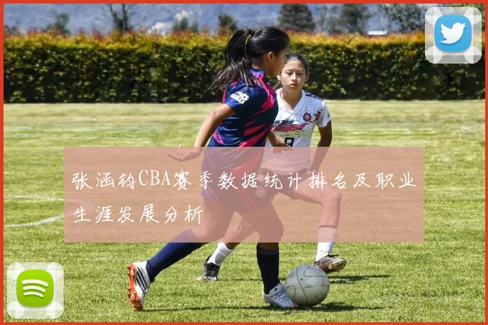 张涵钧CBA赛季数据统计排名及职业生涯发展分析
