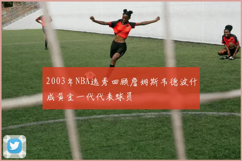 2003年NBA选秀回顾詹姆斯韦德波什成黄金一代代表球员