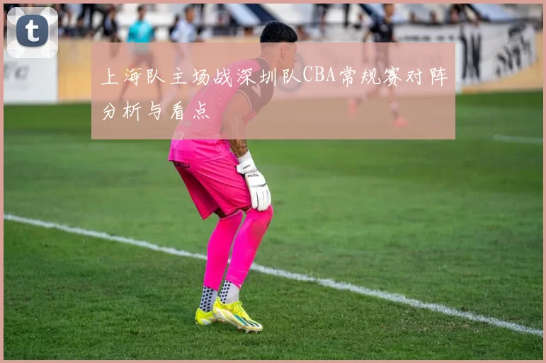 上海队主场战深圳队CBA常规赛对阵分析与看点