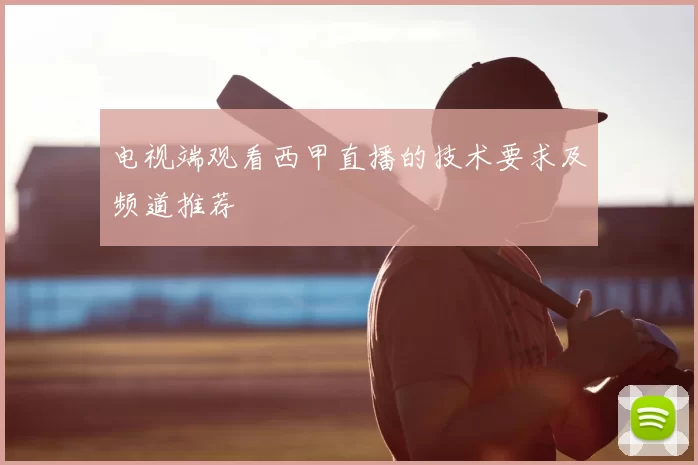 电视端观看西甲直播的技术要求及频道推荐