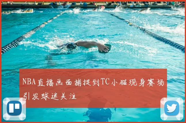 NBA直播画面捕捉到TC小猫现身赛场引发球迷关注