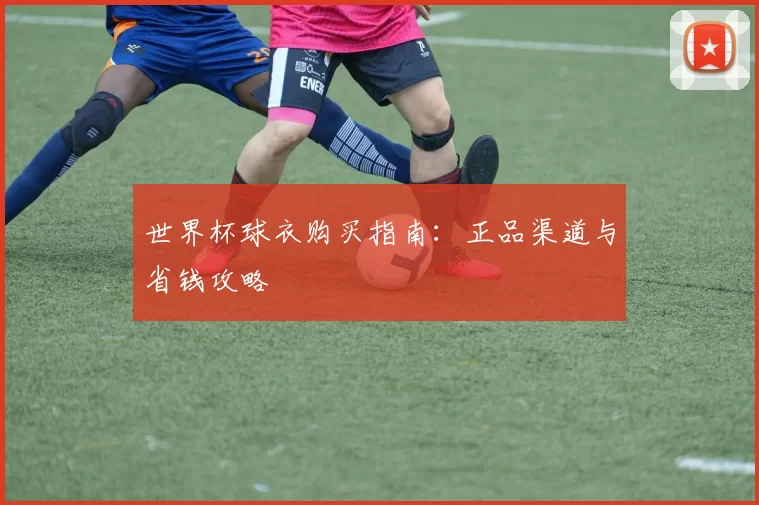 世界杯球衣购买指南：正品渠道与省钱攻略