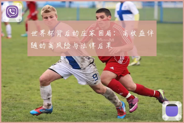 世界杯背后的庄家困局：高收益伴随的高风险与法律后果