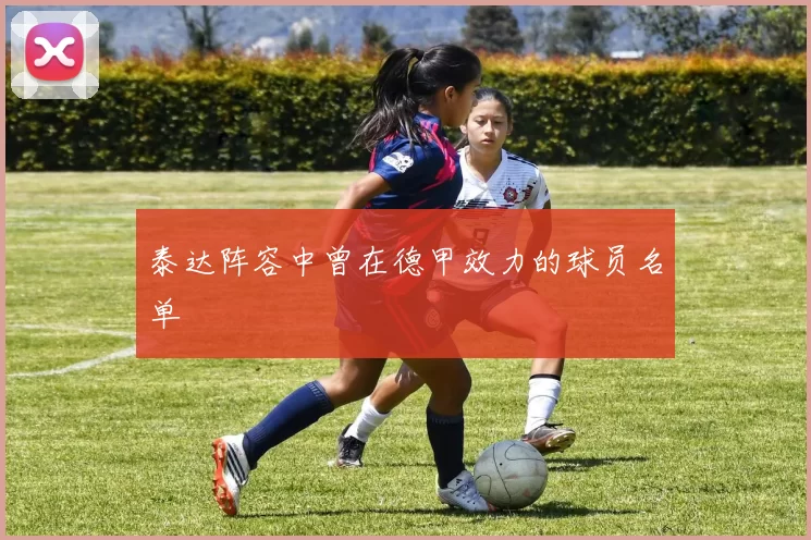 泰达阵容中曾在德甲效力的球员名单