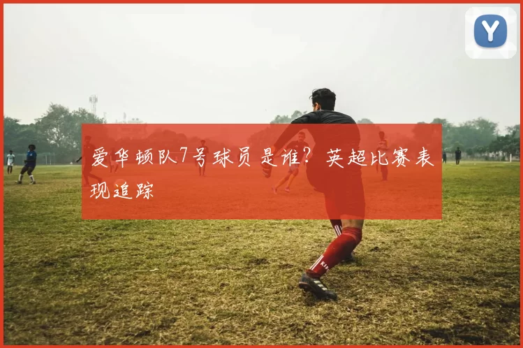 爱华顿队7号球员是谁?英超比赛表现追踪