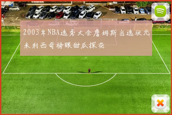 2003年NBA选秀大会詹姆斯当选状元米利西奇榜眼甜瓜探花